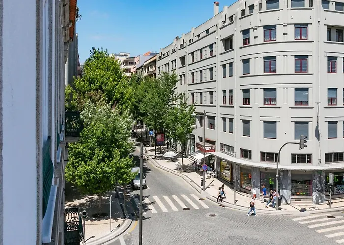 Bo - Fernandes Tomas