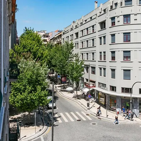 Bo - Fernandes Tomas