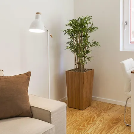 Bo - Fernandes Tomás Oporto