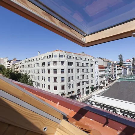 Bo - Fernandes Tomas