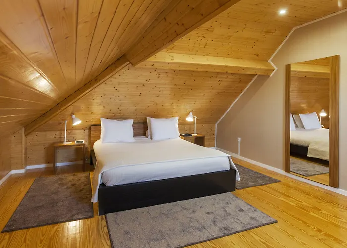 Bo - Fernandes Tomas Daire *