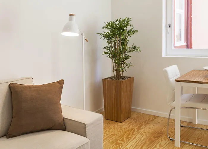 Bo - Fernandes Tomas بورتو